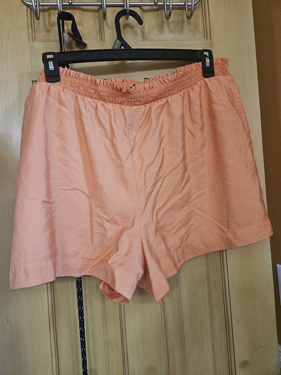 American Eagle Outfitters Pants - American Eagle Women's Shorts